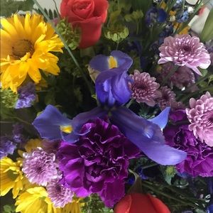 Meet your Posher, Diane